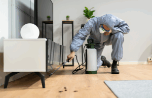 Böceğe göre fiyat değişiyor, ilaç değil dozu öldürüyor!