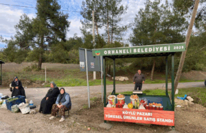 Dağ köylüsüne belediyeden destek