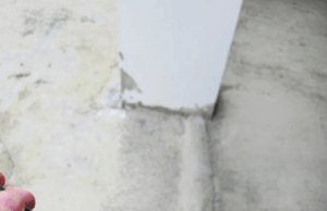 Sokak köpekleri park halindeki aracı parçaladı: O anlar kamerada