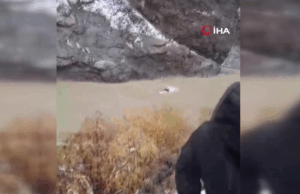 Hakkari’de kamyonet Zap Suyu’na uçtu: 2 ölü, 3 yaralı