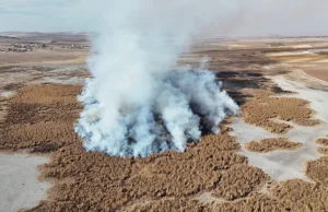 Konya’daki Gökgöl sazlıkları 2 gündür yanıyor