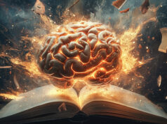 Akdeniz diyeti beyin sağlığını koruyor