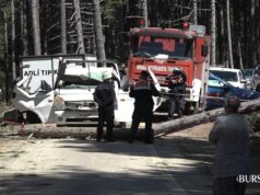 Uludağ’da Kamyonetin Üzerine Ağaç Düştü