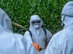 DSÖ’den Ebola salgınına ilişkin yeni açıklama: Bölgesel risk yüksek