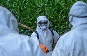 DSÖ’den Ebola salgınına ilişkin yeni açıklama: Bölgesel risk yüksek