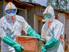 Ebola krizinin merkez üssünden çok önemli uyarı: Felaketi önlemek için acil müdahale şart