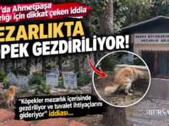 Bursa’da Ahmetpaşa Mezarlığı İçin Dikkat Çeken İddia